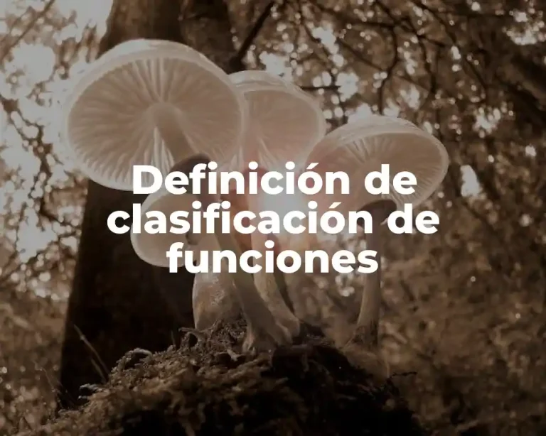Definición de clasificación de funciones