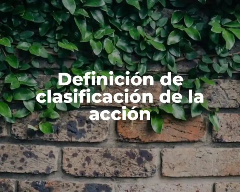 Definición de clasificación de la acción