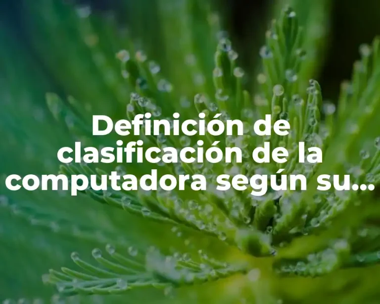 Definición de clasificación de la computadora según su uso y organización