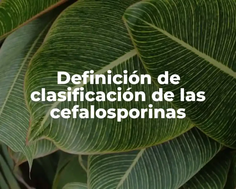 Definición de clasificación de las cefalosporinas
