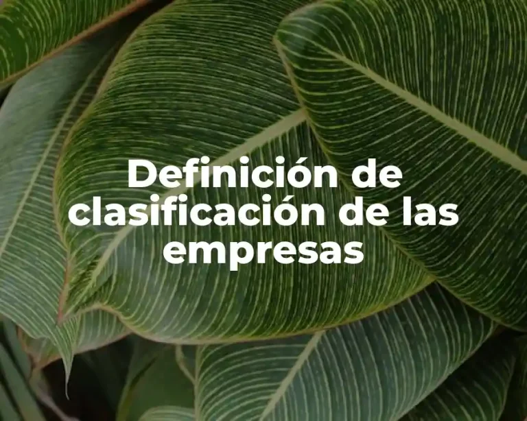 Definición de clasificación de las empresas