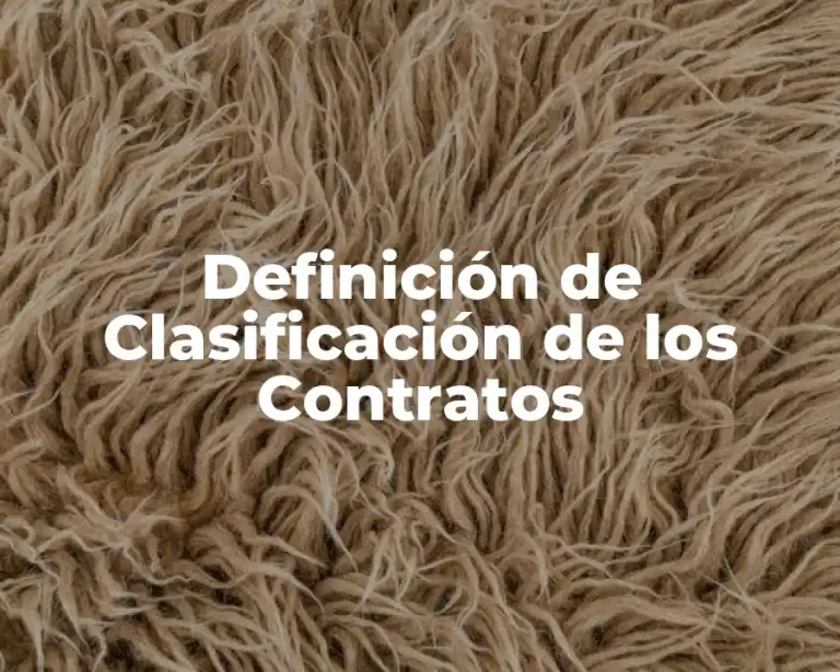 Definición de Clasificación de los Contratos