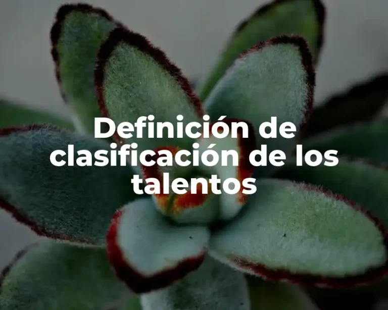 Definición de clasificación de los talentos