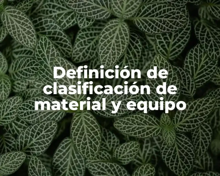 Definición de clasificación de material y equipo