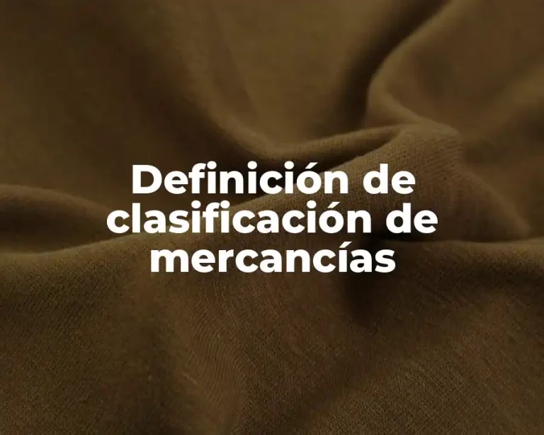 Definición de clasificación de mercancías