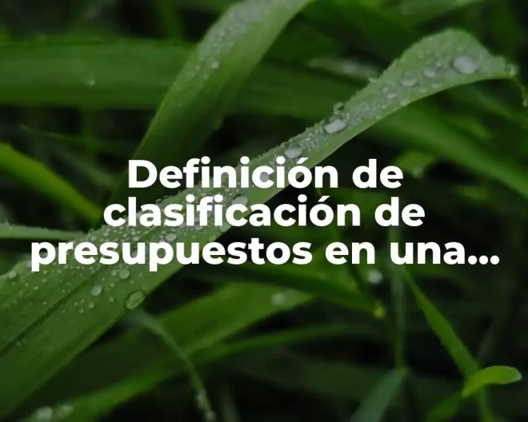 Definición de clasificación de presupuestos en una empresa