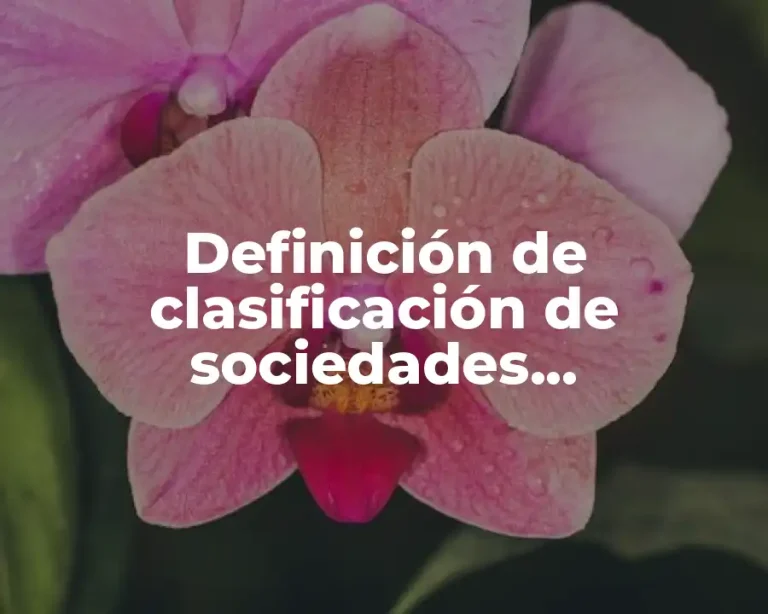 Definición de clasificación de sociedades cooperativas