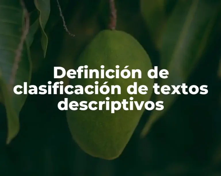 Definición de clasificación de textos descriptivos