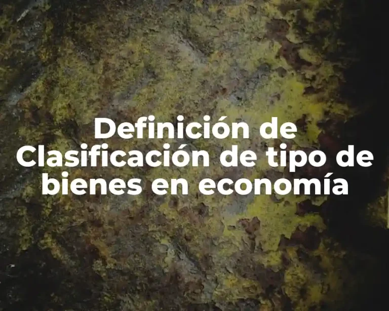 Definición de Clasificación de tipo de bienes en economía
