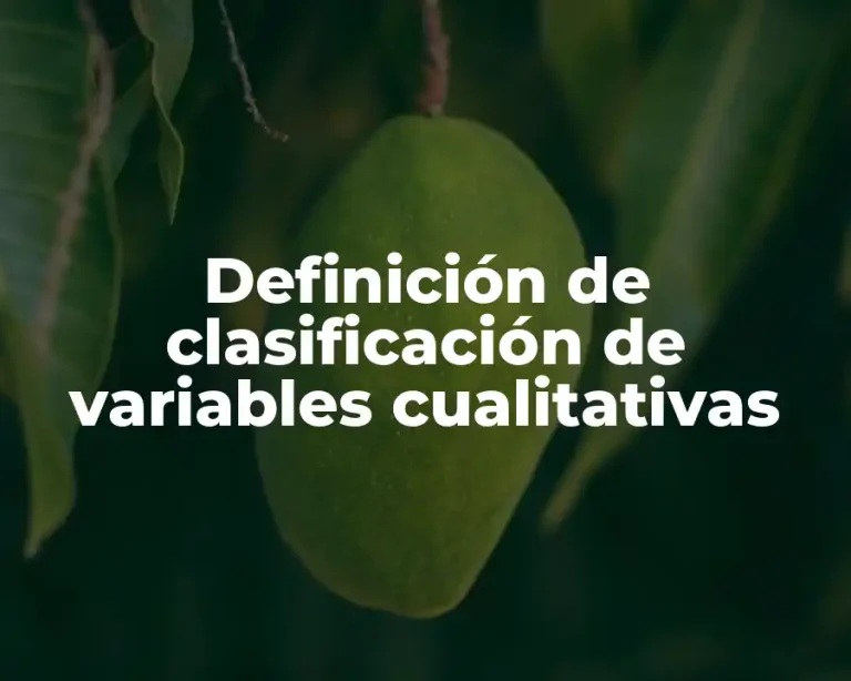 Definición de clasificación de variables cualitativas
