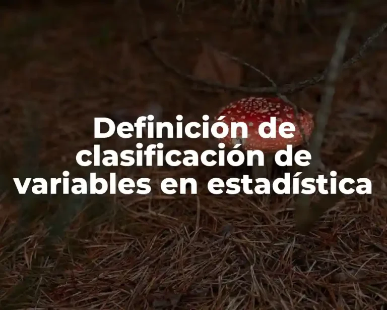 Definición de clasificación de variables en estadística