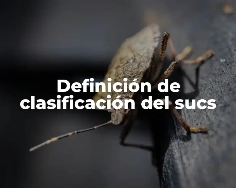 Definición de clasificación del sucs