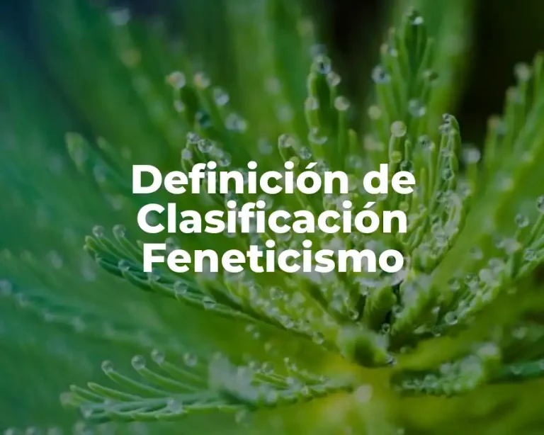 Definición de Clasificación Feneticismo