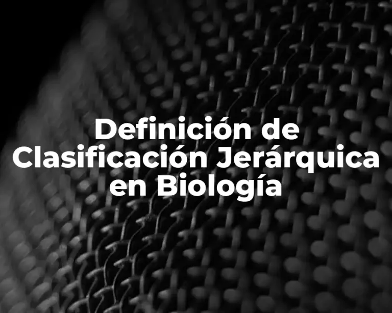 Definición de Clasificación Jerárquica en Biología