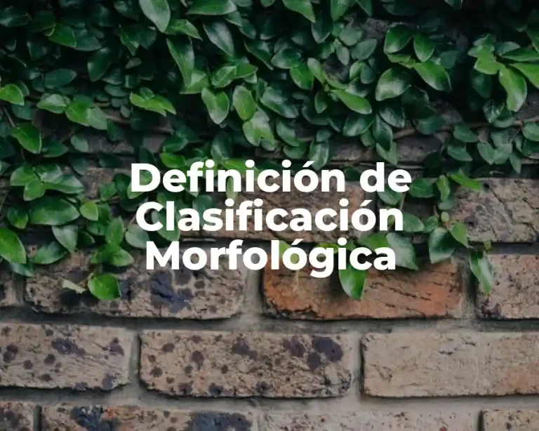 Definición de Clasificación Morfológica
