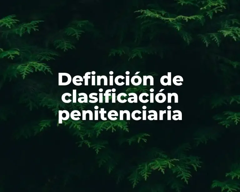 Definición de clasificación penitenciaria