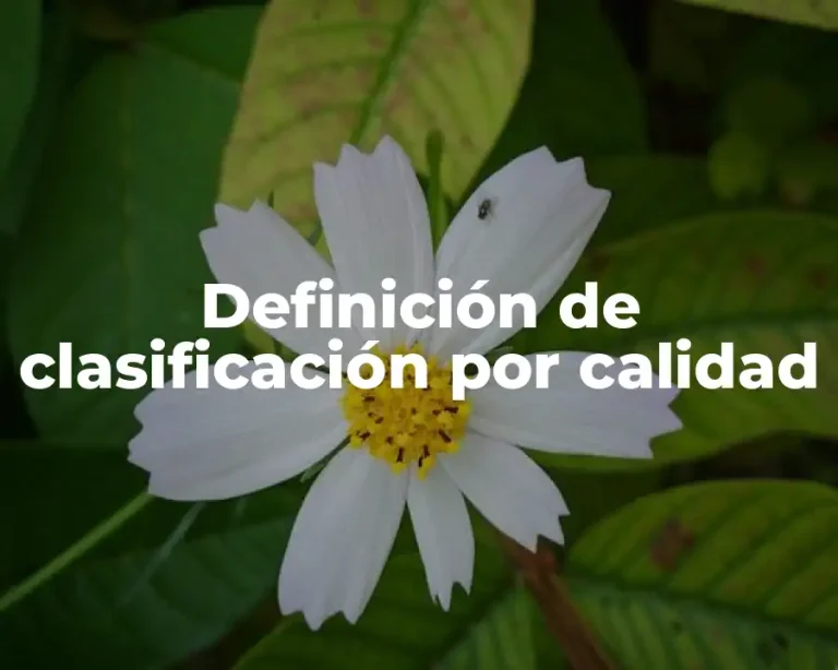 Definición de clasificación por calidad