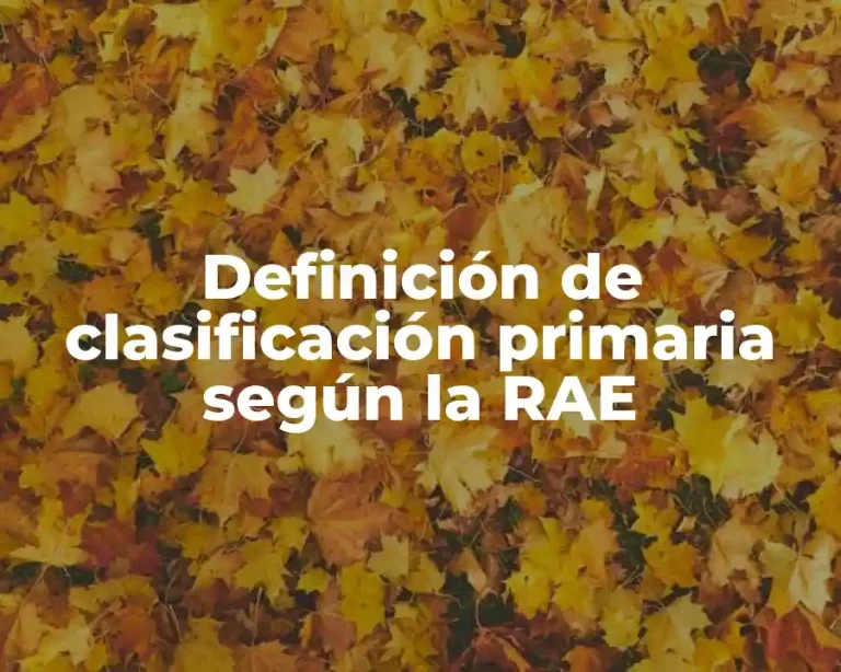 Definición de clasificación primaria según la RAE
