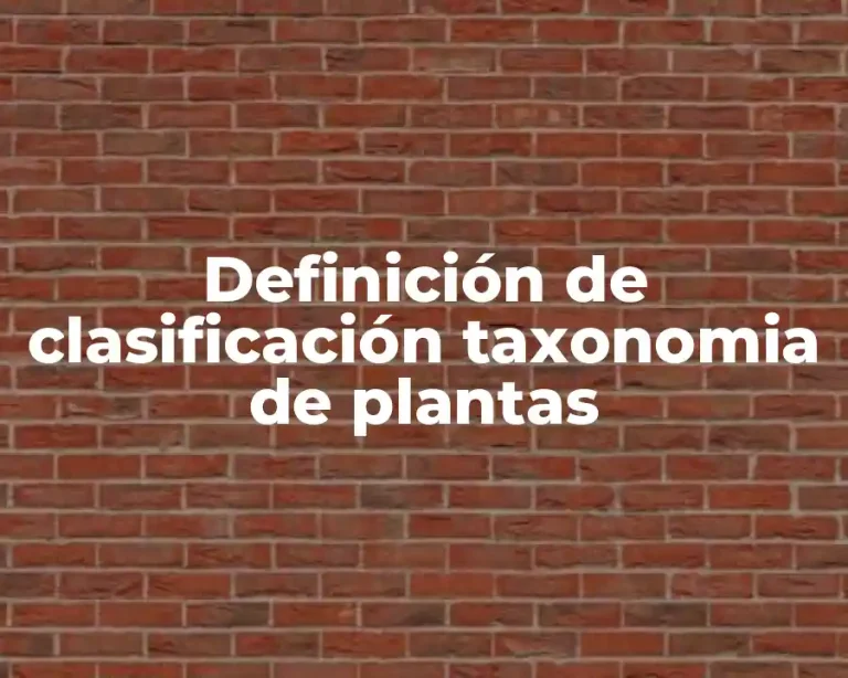 Definición de clasificación taxonomia de plantas