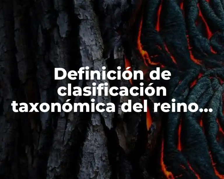 Definición de clasificación taxonómica del reino Monera