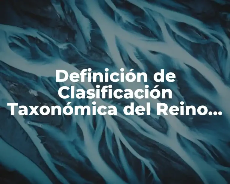 Definición de Clasificación Taxonómica del Reino Protista