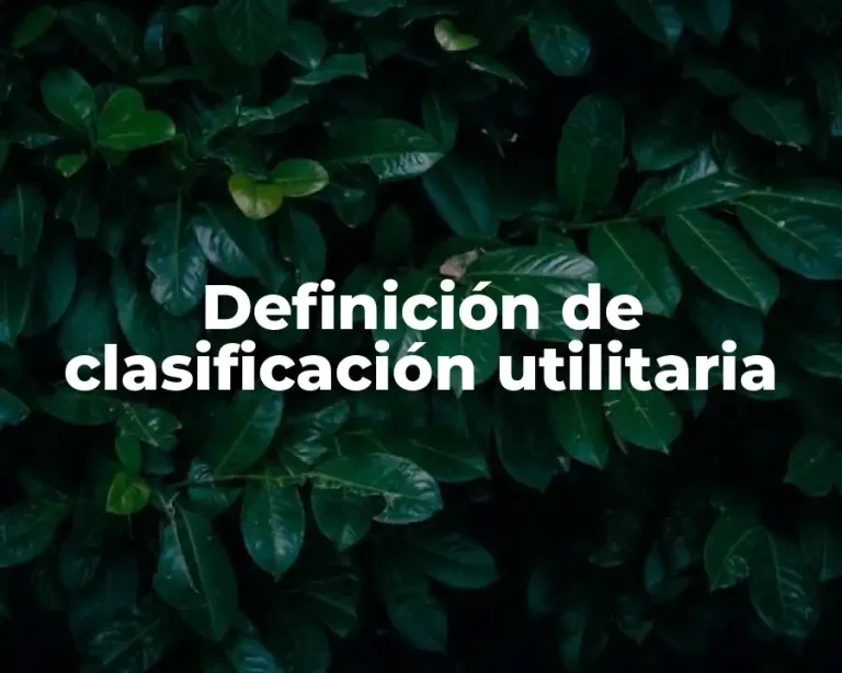 Definición de clasificación utilitaria