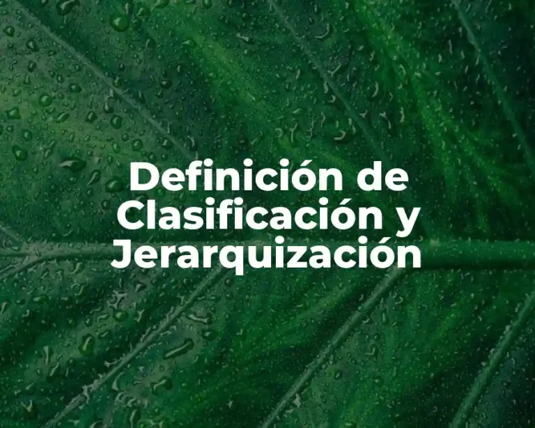 Definición de Clasificación y Jerarquización