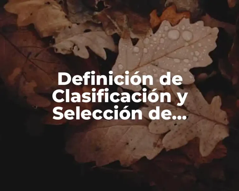 Definición de Clasificación y Selección de Proyectores