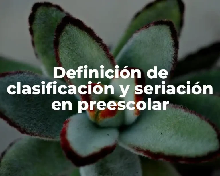 Definición de clasificación y seriación en preescolar