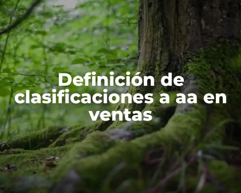 Definición de clasificaciones a aa en ventas