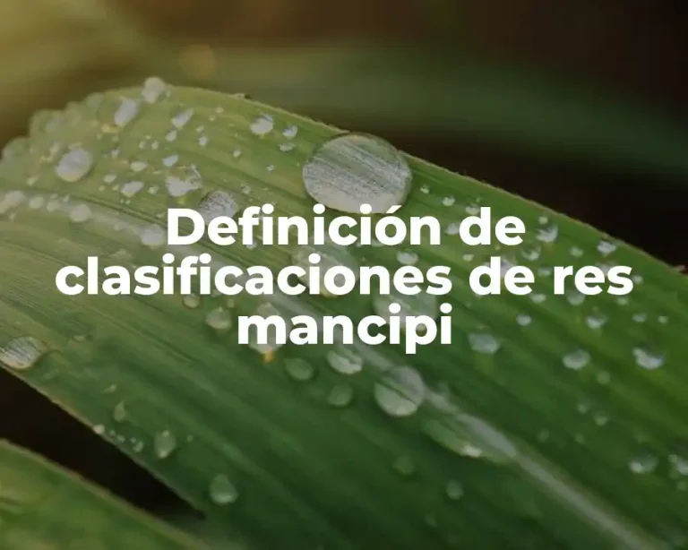 Definición de clasificaciones de res mancipi