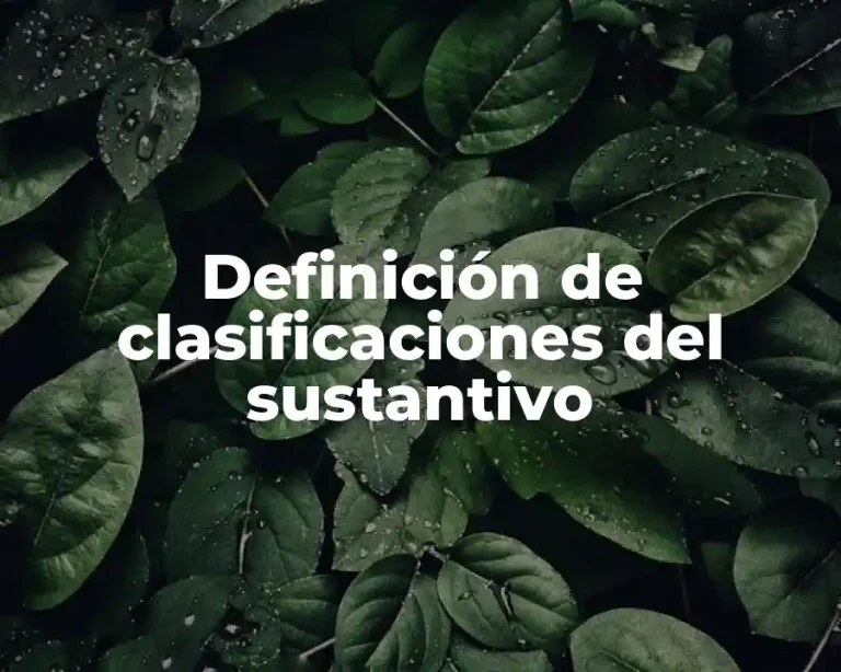 Definición de clasificaciones del sustantivo