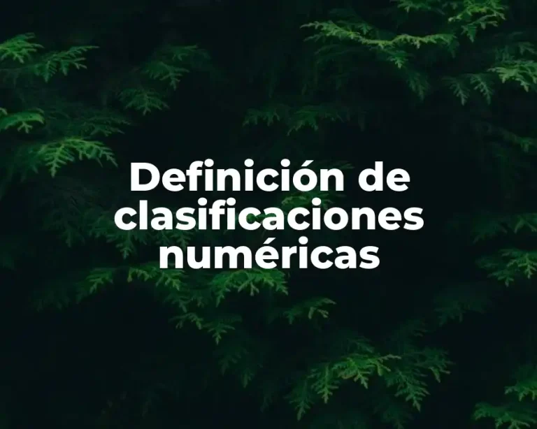 Definición de clasificaciones numéricas