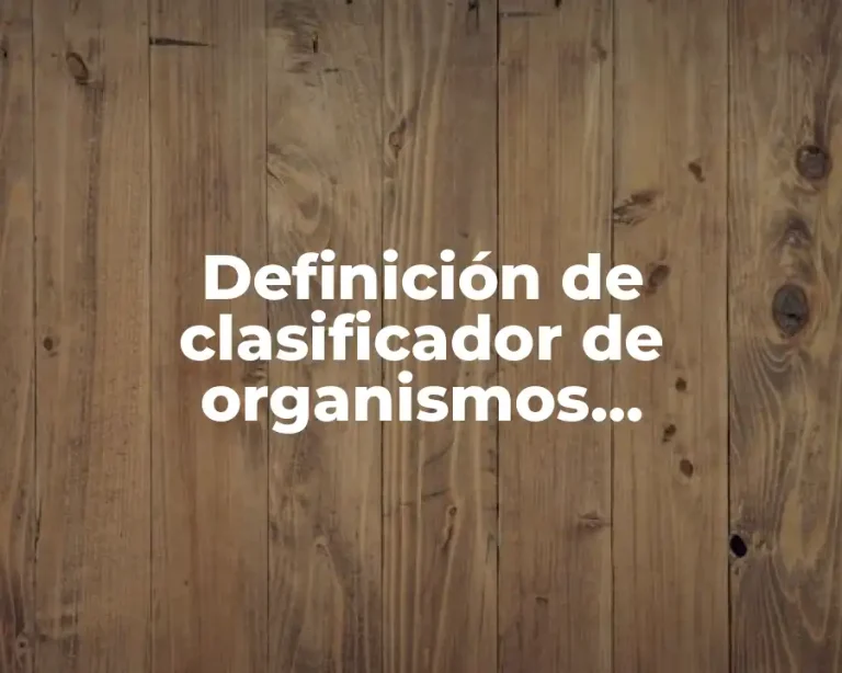 Definición de clasificador de organismos financiadores