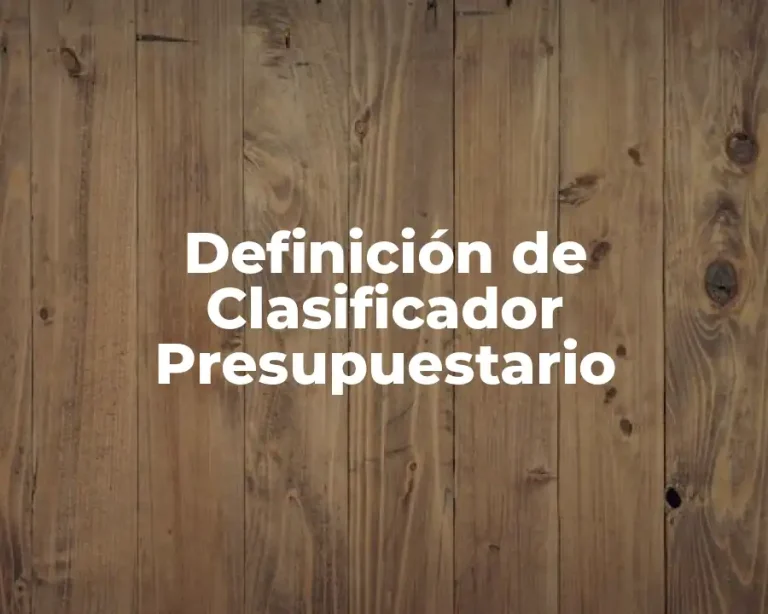 Definición de Clasificador Presupuestario