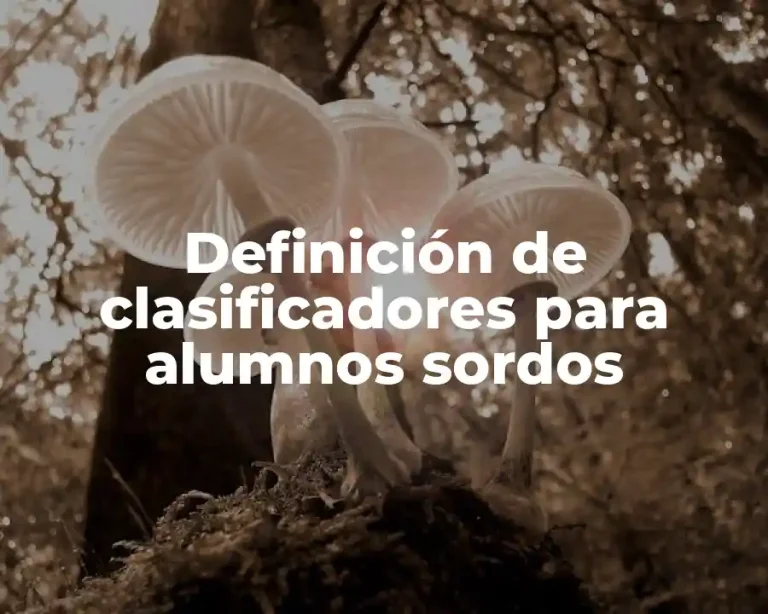 Definición de clasificadores para alumnos sordos