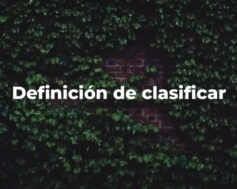 Definición de clasificar