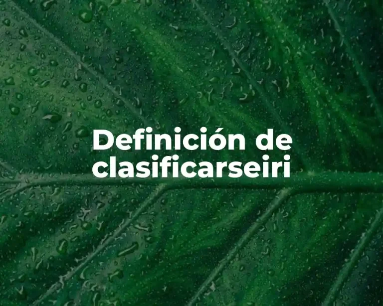Definición de clasificarseiri