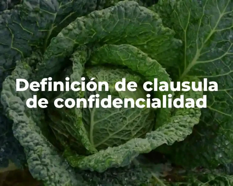 Definición de clausula de confidencialidad