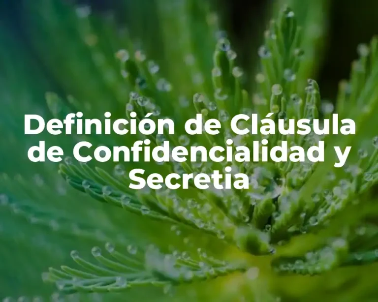 Definición de Cláusula de Confidencialidad y Secretia