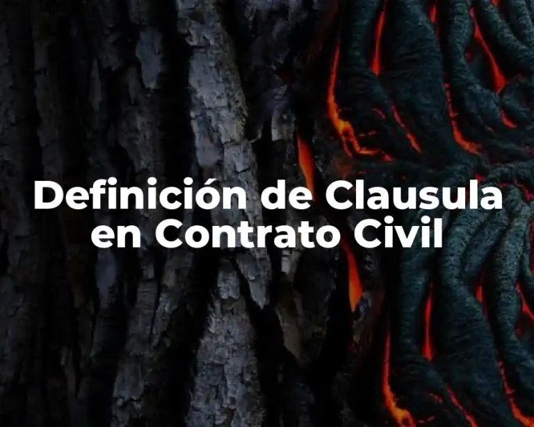 Definición de Clausula en Contrato Civil