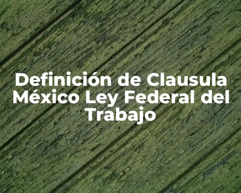 Definición de Clausula México Ley Federal del Trabajo