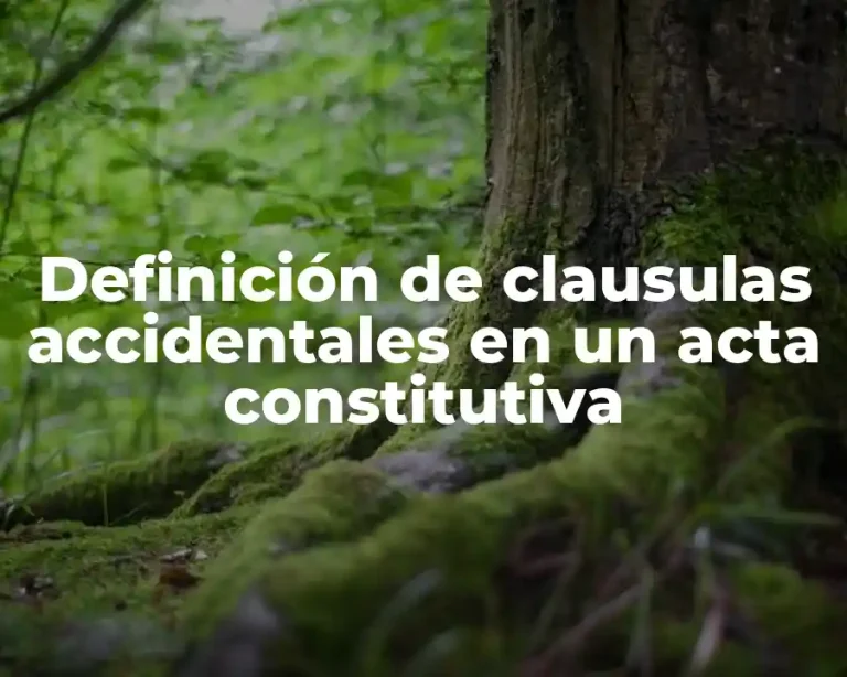 Definición de clausulas accidentales en un acta constitutiva