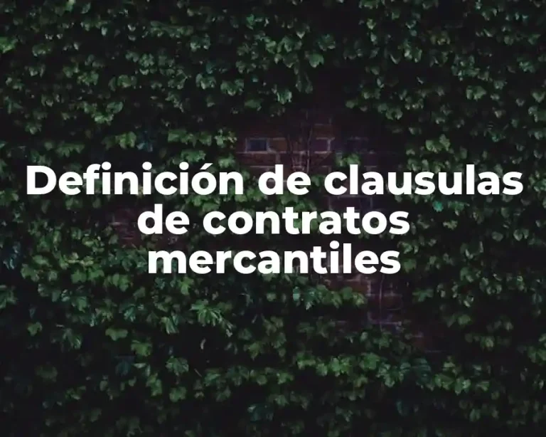 Definición de clausulas de contratos mercantiles