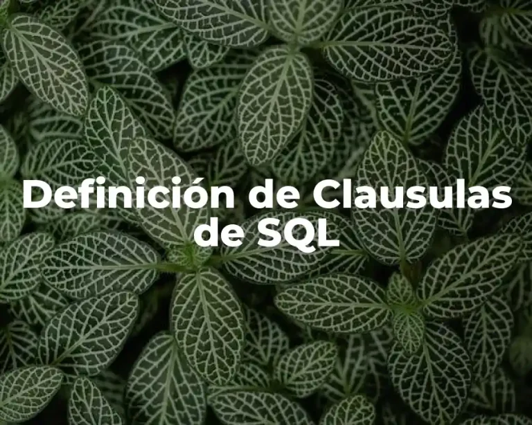 Definición de Clausulas de SQL