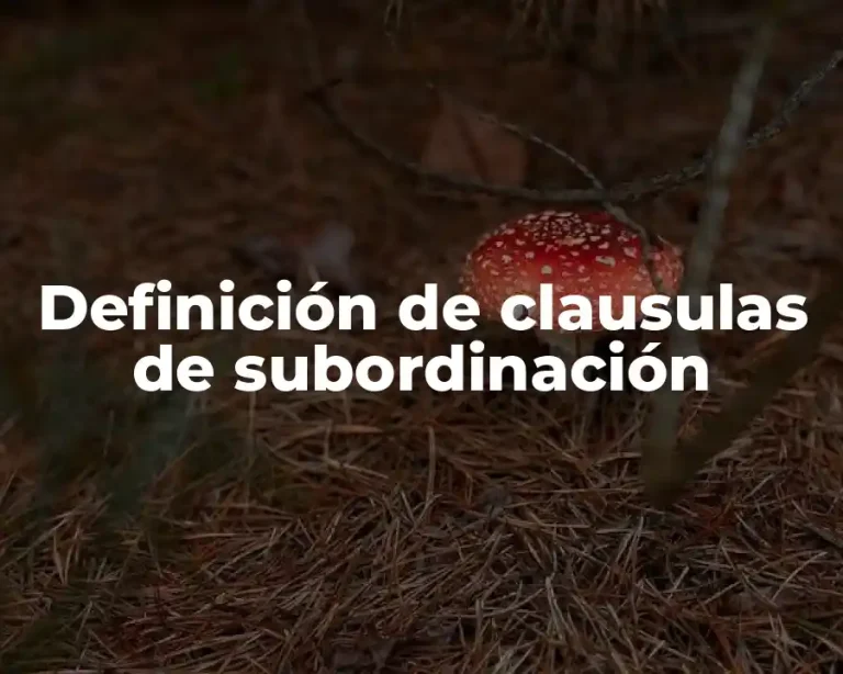 Definición de clausulas de subordinación