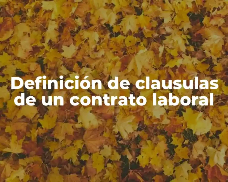 Definición de clausulas de un contrato laboral