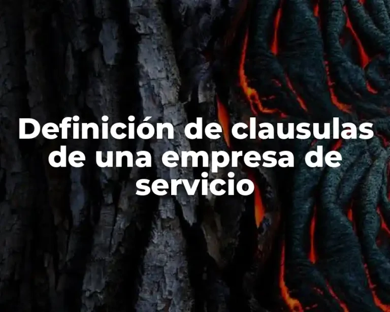 Definición de clausulas de una empresa de servicio