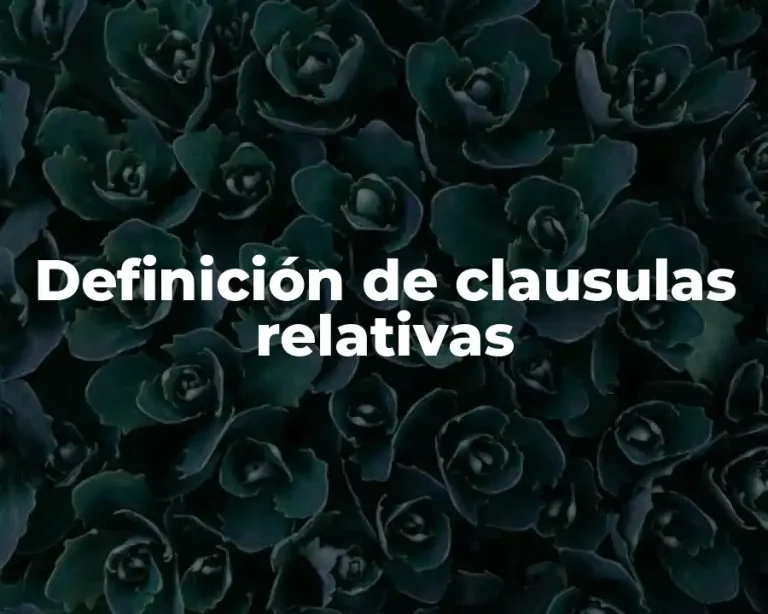 Definición de clausulas relativas