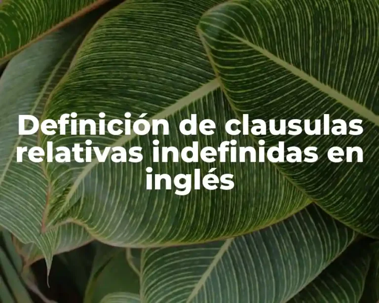 Definición de clausulas relativas indefinidas en inglés